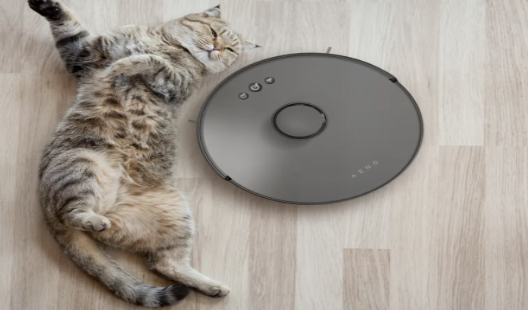  Effective daily cleaning of pet hair